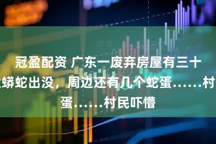 冠盈配资 广东一废弃房屋有三十多斤大蟒蛇出没，周边还有几个蛇蛋……村民吓懵