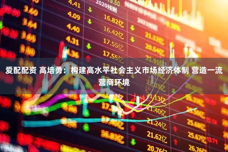 爱配配资 高培勇：构建高水平社会主义市场经济体制 营造一流营商环境