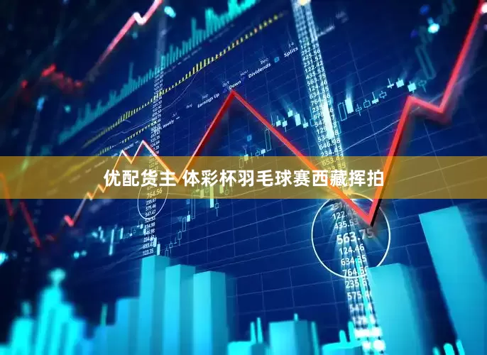 优配货主 体彩杯羽毛球赛西藏挥拍