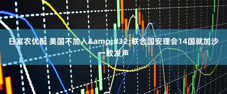 日富农优配 美国不加入&#32;联合国安理会14国就加沙一致发声