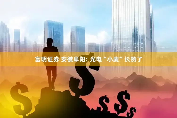 富明证券 安徽阜阳: 光电“小麦”长熟了