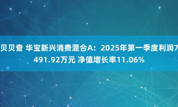 贝贝查 华宝新兴消费混合A：2025年第一季度利润7491.92万元 净值增长率11.06%