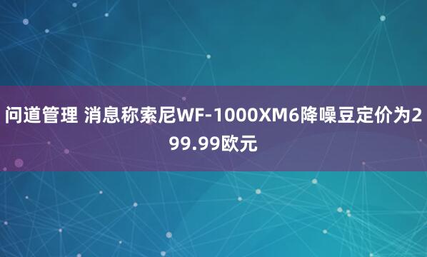 问道管理 消息称索尼WF-1000XM6降噪豆定价为299.99欧元